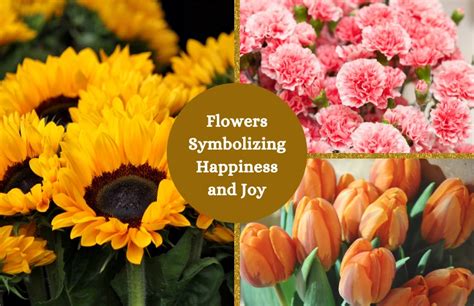 Joy Flowers .